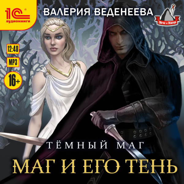 Постер книги Темный маг. Маг и его тень