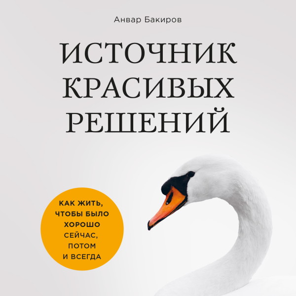 Постер книги Источник красивых решений. Как жить, чтобы было хорошо сейчас, потом и всегда