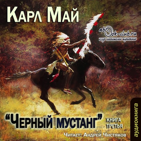 Постер книги Черный мустанг