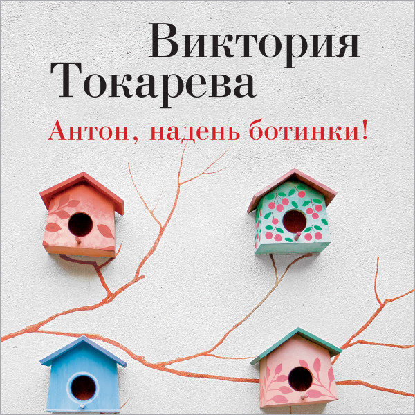 Постер книги Антон, надень ботинки!