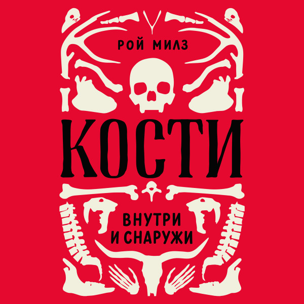 Постер книги Кости: внутри и снаружи