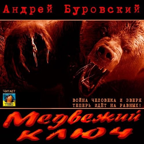 Постер книги Медвежий ключ