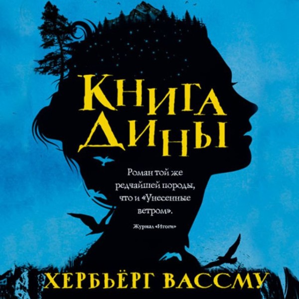 Постер книги Книга Дины