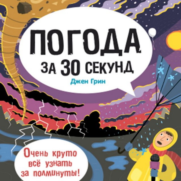 Постер книги Погода за 30 секунд