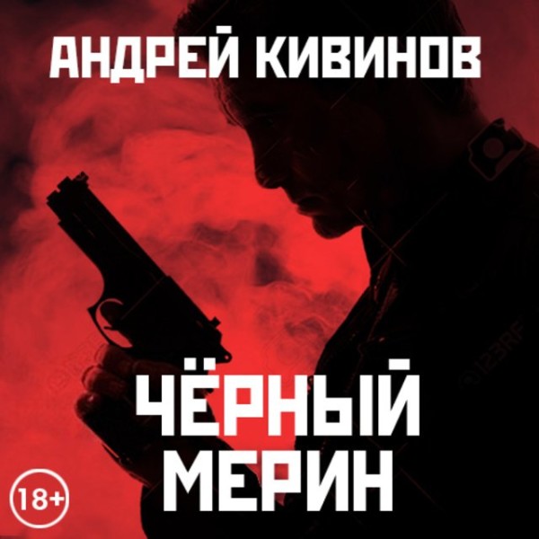 Постер книги Черный мерин