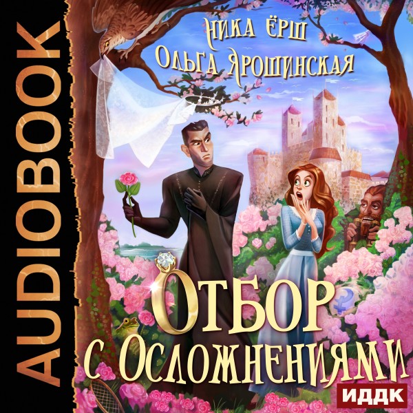 Постер книги Отбор с осложнениями