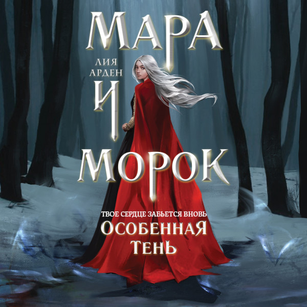 Постер книги Мара и Морок. Особенная Тень