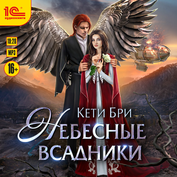 Постер книги Небесные всадники