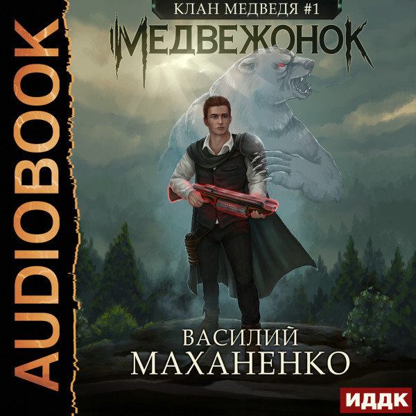 Постер книги Медвежонок