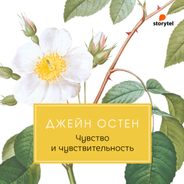 Постер книги Чувство и чувствительность