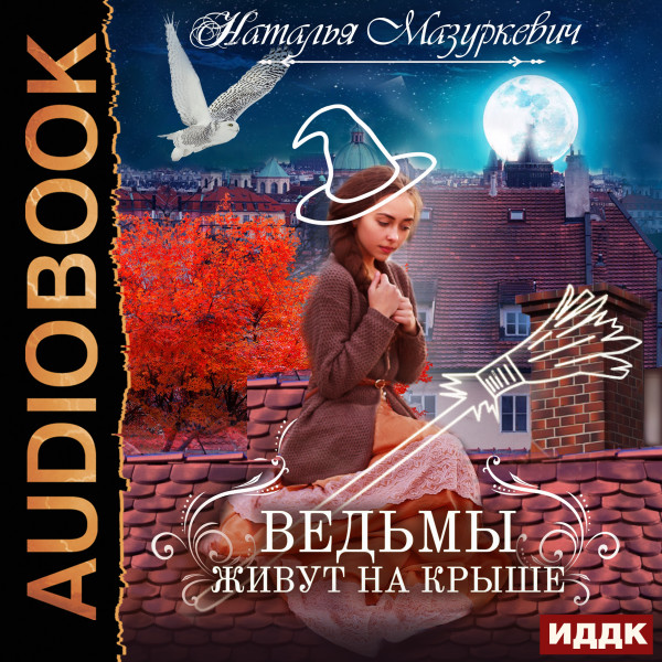 Постер книги Ведьмы живут на крыше