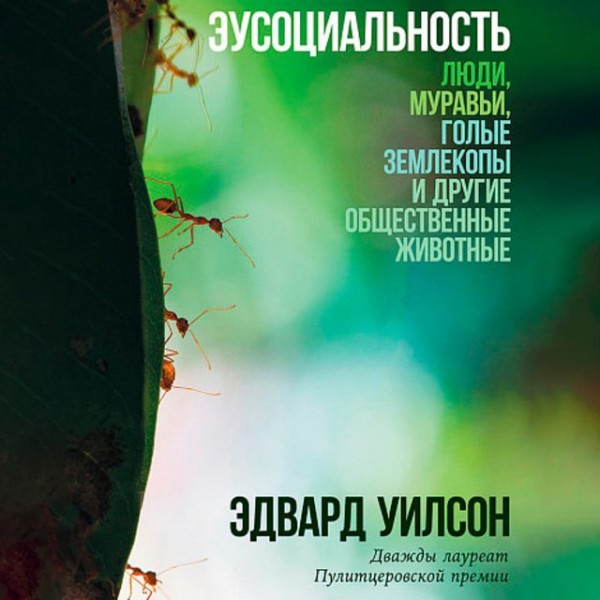 Постер книги Эусоциальность: Люди, муравьи, голые землекопы и другие общественные животные