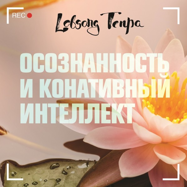 Постер книги Осознанность и конативный интеллект