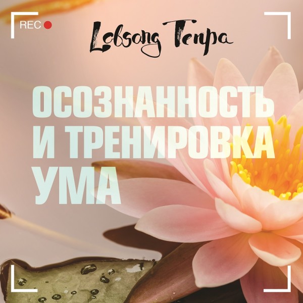 Постер книги Осознанность и тренировка ума