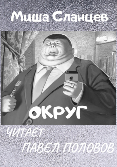 Постер книги Округ