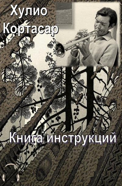 Постер книги Книга инструкций