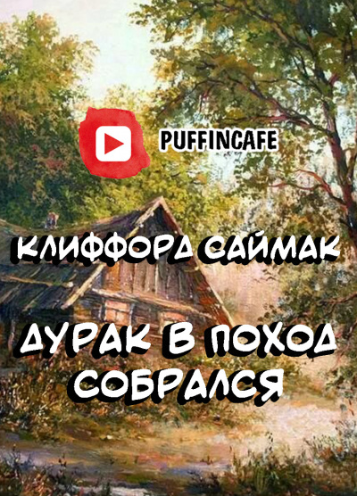 Постер книги Дурак в поход собрался