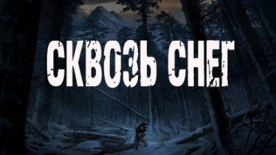 Постер книги Сквозь снег