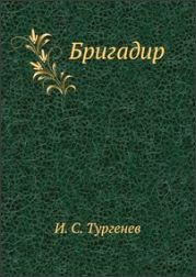 Постер книги Бригадир