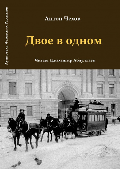 Постер книги Двое в одном