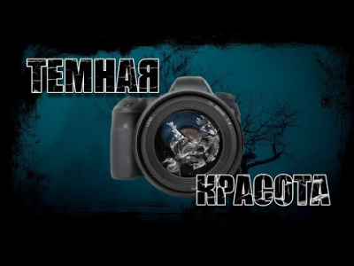 Постер книги Темная красота