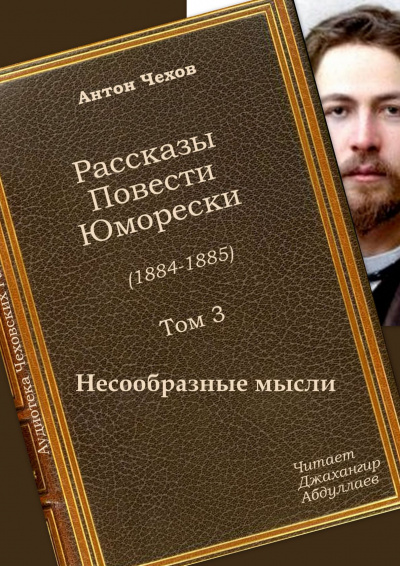 Постер книги Несообразные мысли