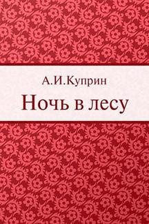 Постер книги Ночь в лесу