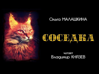 Постер книги Соседка