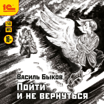 Постер книги Пойти и не вернуться