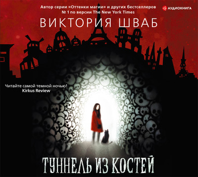 Постер книги Туннель из костей