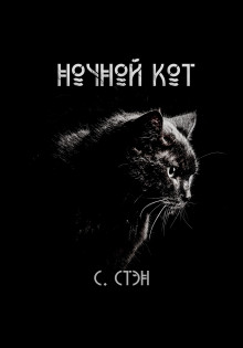 Постер книги Ночной кот