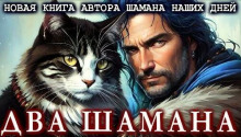 Постер книги Два шамана