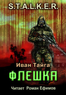 Постер книги S.T.A.L.K.E.R. Флешка