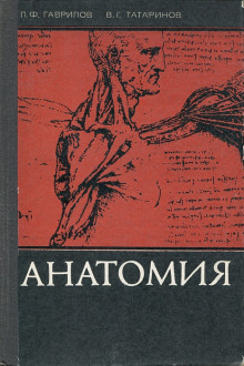 Постер книги Анатомия