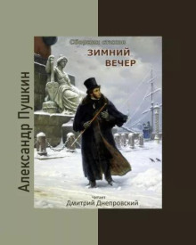 Постер книги Зимний вечер. Сборник стихов