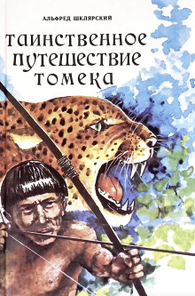 Постер книги Таинственное путешествие Томека