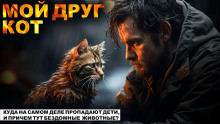 Постер книги Мой друг Кот