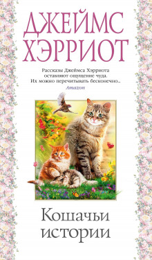 Постер книги Олли и Жулька