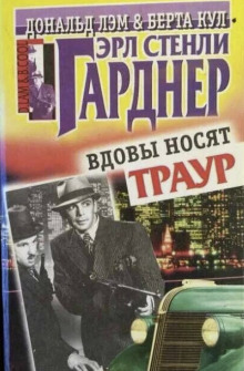 Постер книги Вдовы носят траур