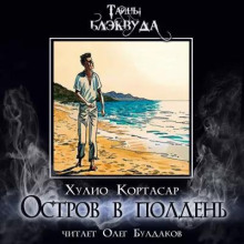 Постер книги Остров в полдень