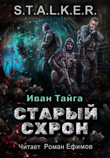 Постер книги S.T.A.L.K.E.R. Старый схрон