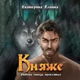 Постер книги Княже