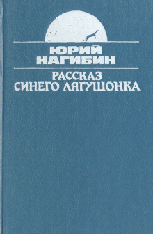 Постер книги Рассказ синего лягушонка