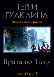 Постер книги Врата во Тьму