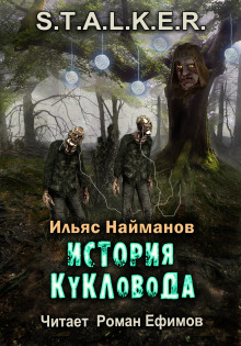 Постер книги S.T.A.L.K.E.R. История Кукловода