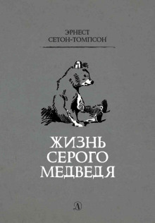 Постер книги Жизнь серого медведя