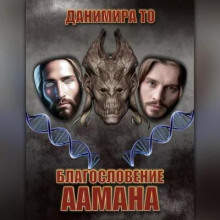 Постер книги Благословение Аамана