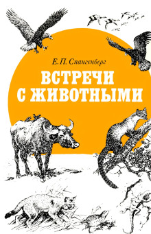 Постер книги Встречи с животными