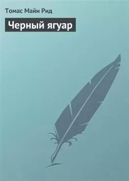 Постер книги Черный ягуар