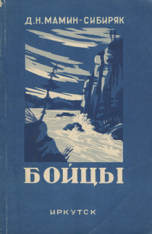 Постер книги Бойцы